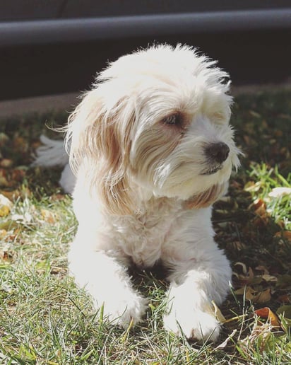Gallery photo 9 of Daisy Baylon Photography