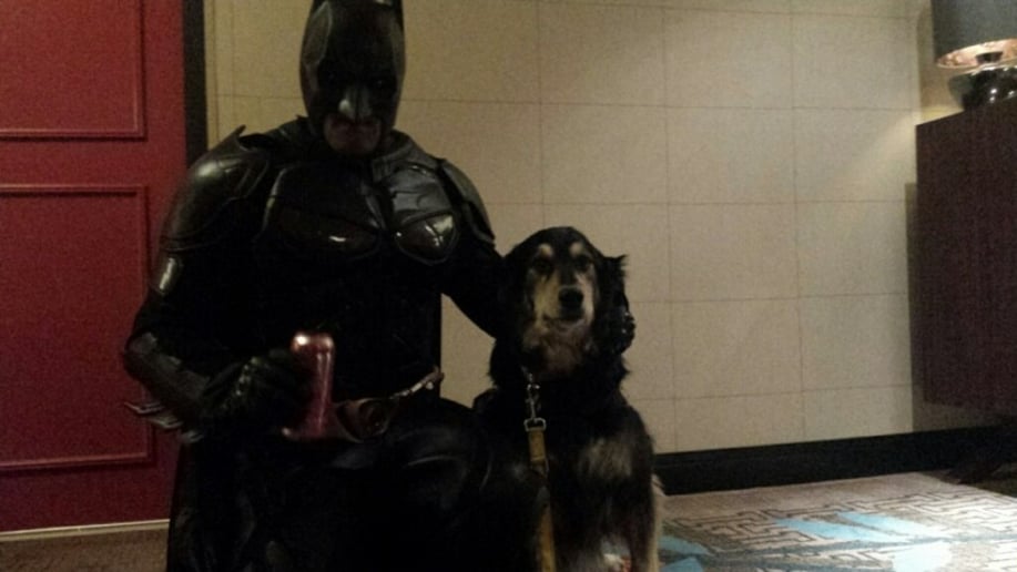 Gallery photo 3 of Bat Superhero