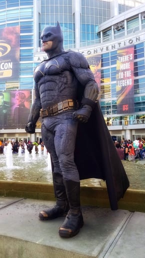 Gallery photo 9 of Bat Superhero