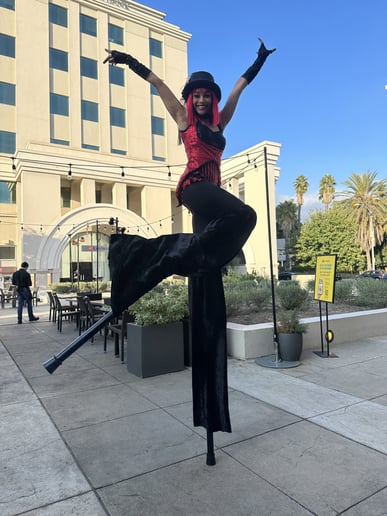 Gallery photo 3 of Circus Maximus LLC