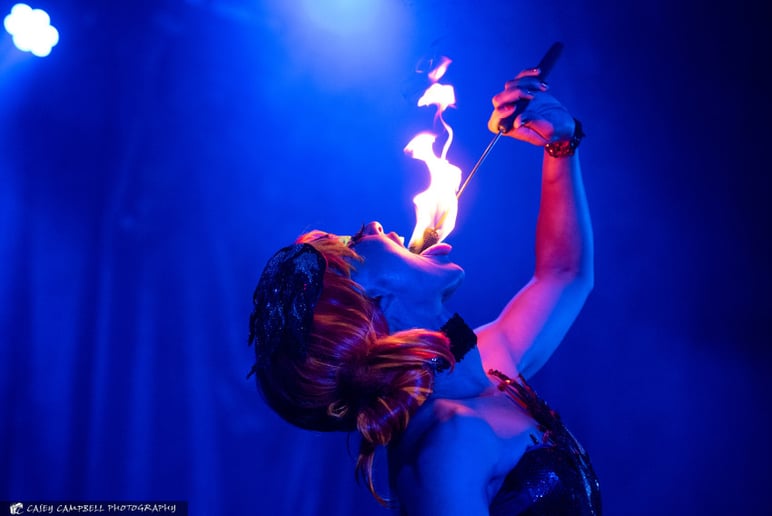 Gallery photo 5 of Circus Maximus LLC