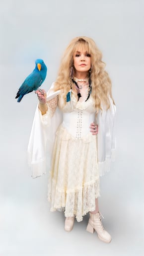 Gallery photo 1 of Night of Nicks: The Stories. The Music. Stevie Nicks & Fleetwood Mac