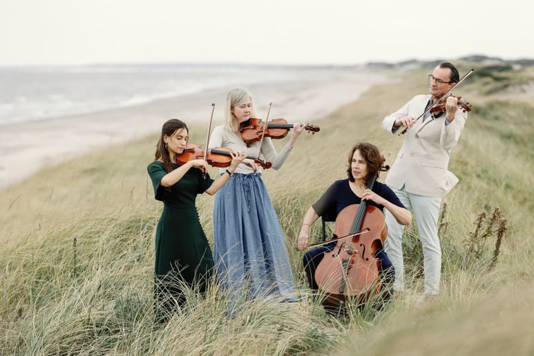 Gallery photo 10 of Cape Cod String Quartet