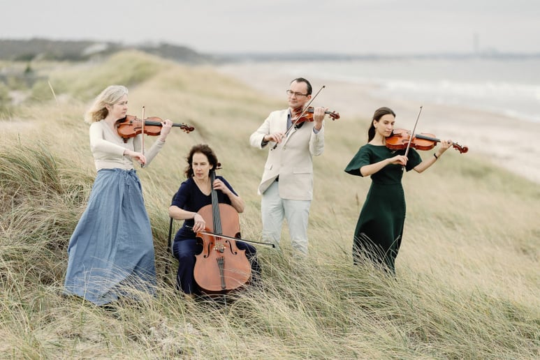 Gallery photo 13 of Cape Cod String Quartet