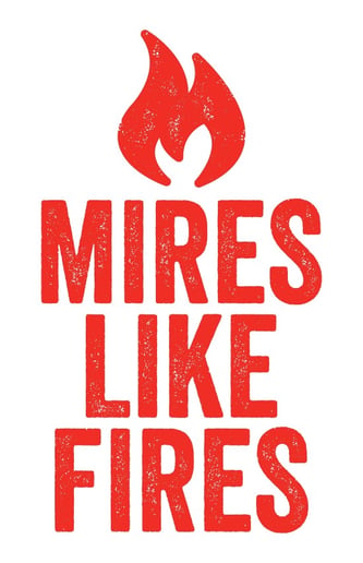 Gallery photo 3 of Dan Mires