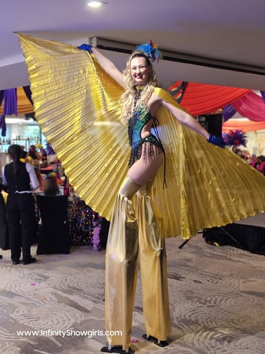Gallery photo 45 of Dancers by Infinity Showgirls