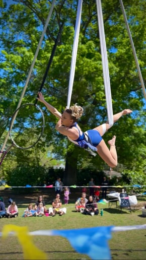 Gallery photo 4 of Colleen Sands -Aerialist