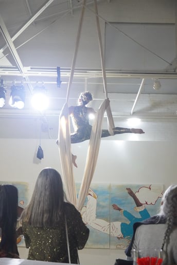 Gallery photo 1 of Colleen Sands -Aerialist