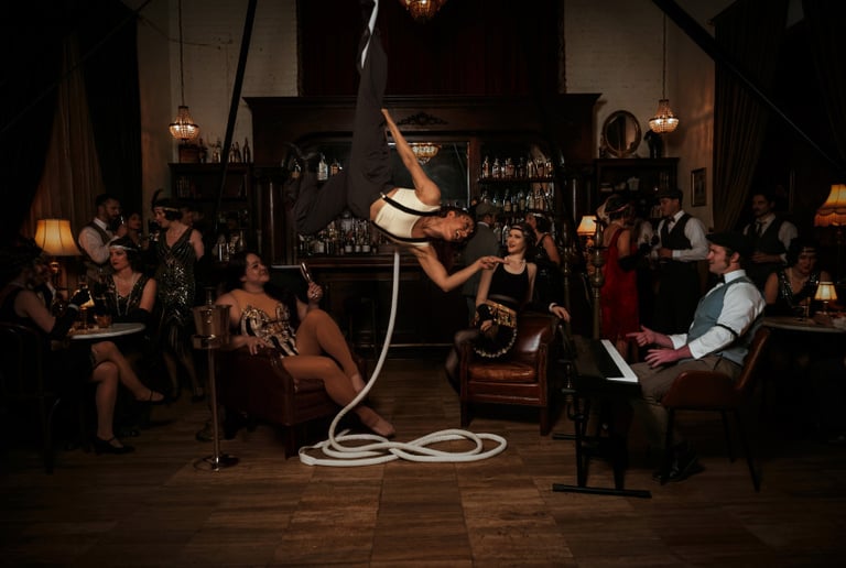 Gallery photo 10 of Colleen Sands -Aerialist
