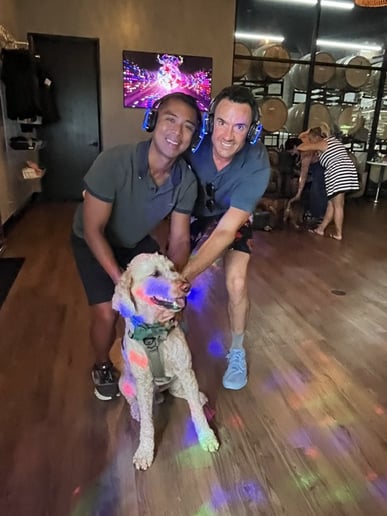 Gallery photo 5 of Dancing Dog Silent Disco