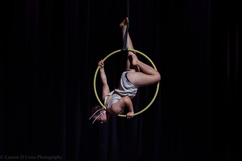Gallery photo 2 of Dancing Prince Aerial
