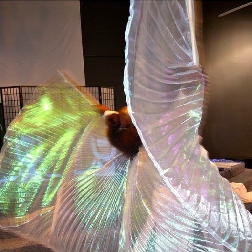 Gallery photo 1 of Dancing Without Limits, LLC