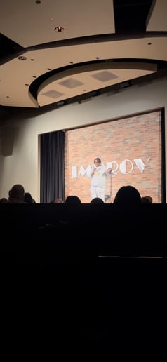 Gallery photo 5 of Dangerfield Comedy