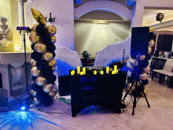 Gallery photo 3 of Dani Rox Dj Services