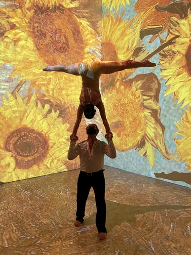 Gallery photo 1 of Danie + Bobby Acrobatics