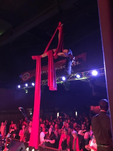 Gallery photo 3 of Springfield Aerial Fitness Entertainment