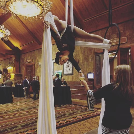 Gallery photo 5 of Springfield Aerial Fitness Entertainment