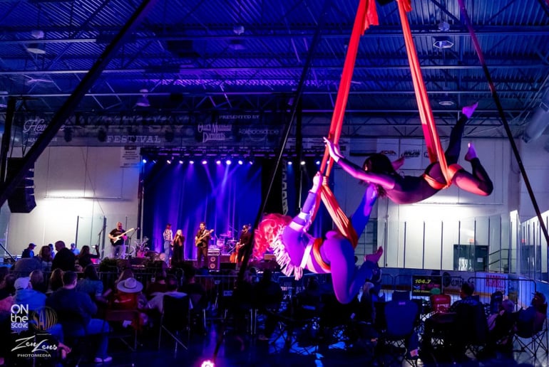 Gallery photo 1 of Springfield Aerial Fitness Entertainment