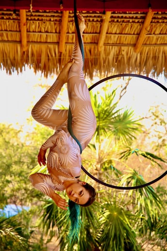 Gallery photo 4 of Springfield Aerial Fitness Entertainment