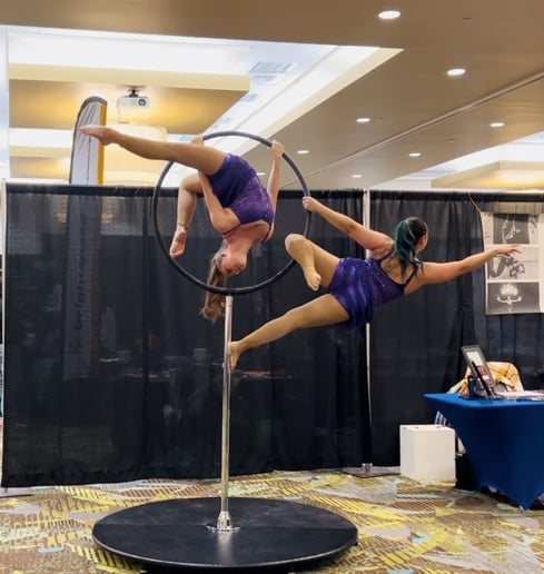 Gallery photo 9 of Springfield Aerial Fitness Entertainment