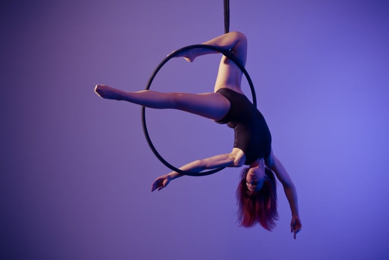 Gallery photo 3 of Danielle G Pole Dancer/Aerialist