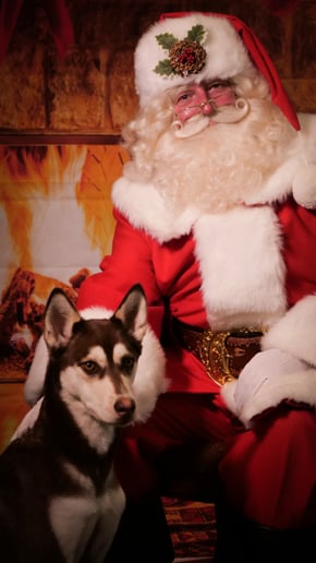 Gallery photo 1 of Danny Claus