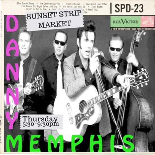 Gallery photo 13 of Elvis Impersonator / Tribute Artist - Danny Memphis