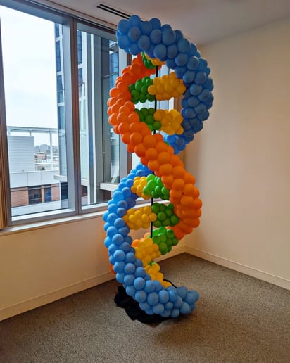 Gallery photo 8 of Dan's Balloons