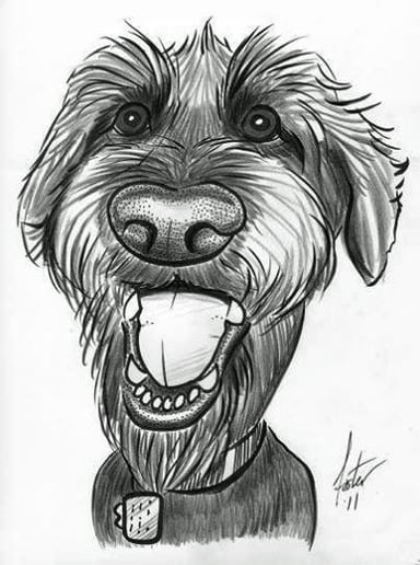 Gallery photo 46 of Dan's Portraits and Caricatures