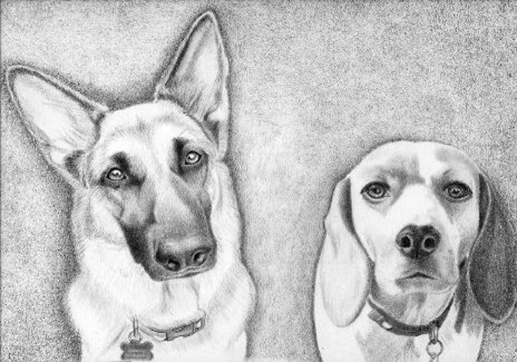 Gallery photo 47 of Dan's Portraits and Caricatures