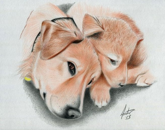 Gallery photo 45 of Dan's Portraits and Caricatures