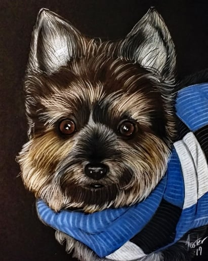 Gallery photo 39 of Dan's Portraits and Caricatures