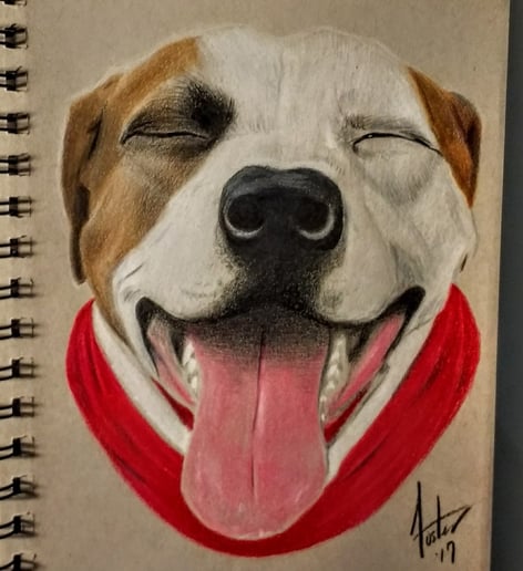 Gallery photo 43 of Dan's Portraits and Caricatures