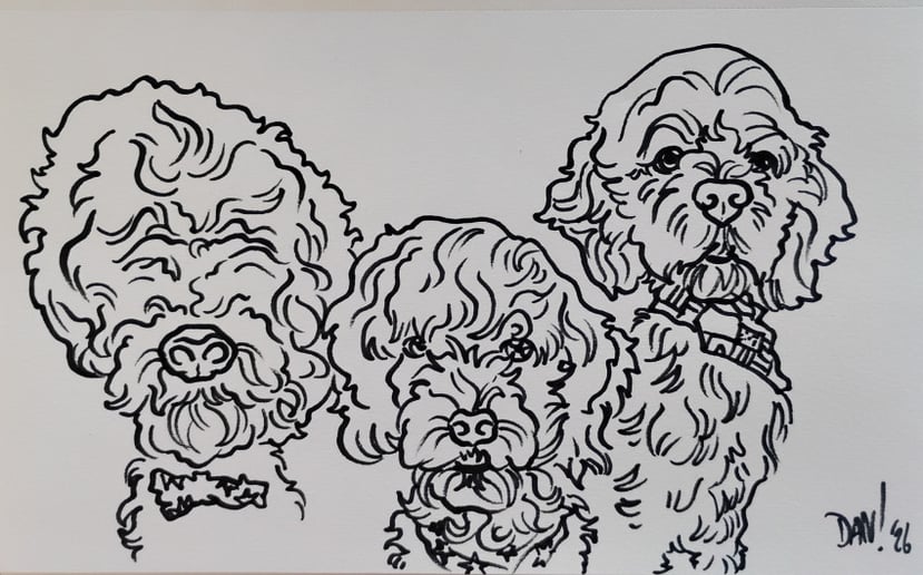 Gallery photo 47 of Dan's Toonz