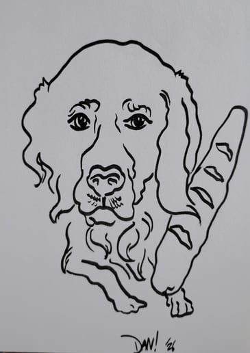 Gallery photo 48 of Dan's Toonz