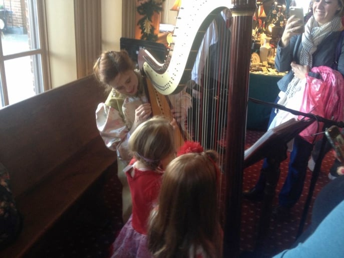 Gallery photo 2 of Darcy Bell-Myers Celtic Harpist & Singer