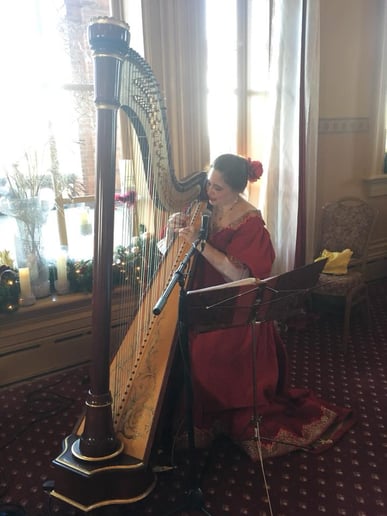 Gallery photo 6 of Darcy Bell-Myers Celtic Harpist & Singer