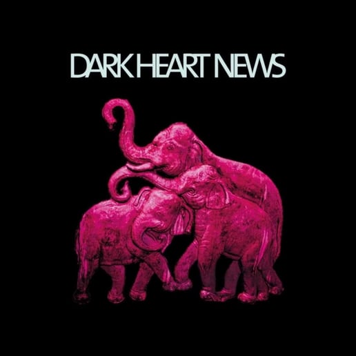 Gallery photo 2 of Dark Heart News