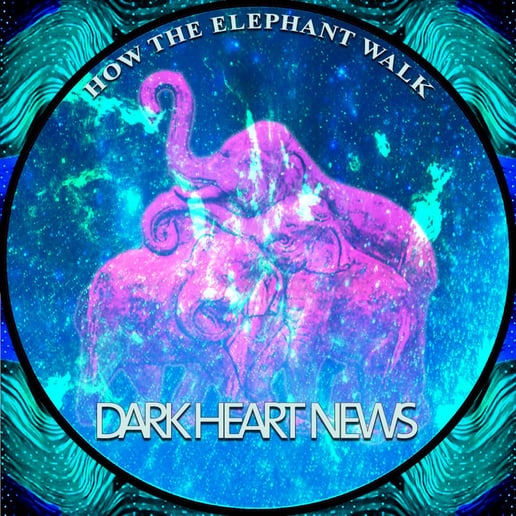 Gallery photo 3 of Dark Heart News