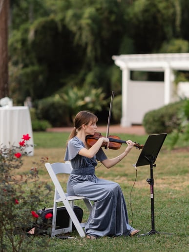 Gallery photo 1 of Darling Strings