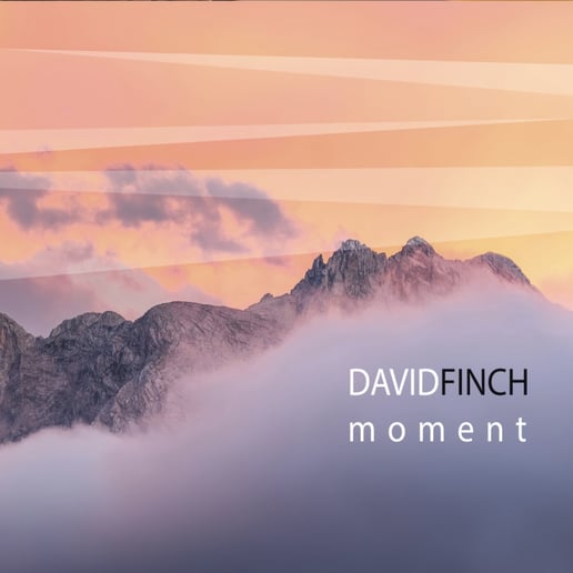 Gallery photo 3 of Dave Finch