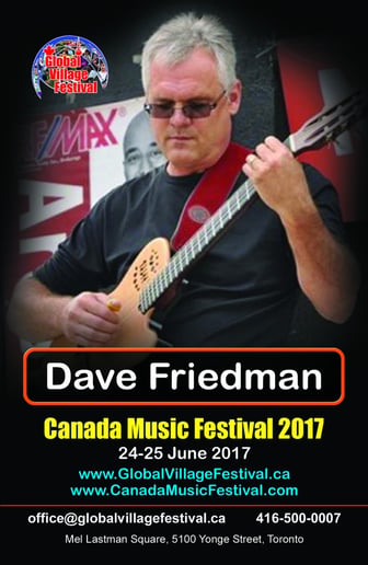Gallery photo 6 of Dave Friedman - Guitarist