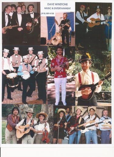 Gallery photo 1 of Dave Winstone Band