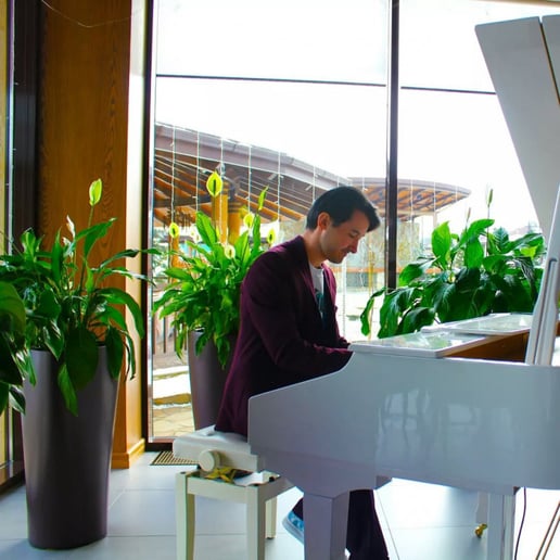Gallery photo 5 of David Blackwood Piano