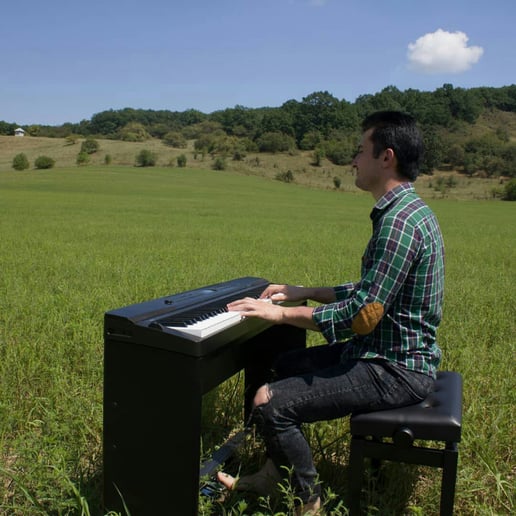 Gallery photo 6 of David Blackwood Piano
