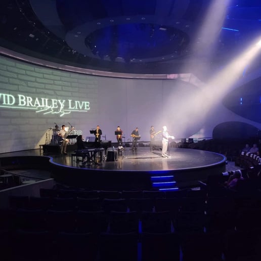 Gallery photo 7 of David Brailey