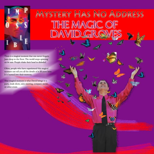 Gallery photo 2 of David Groves