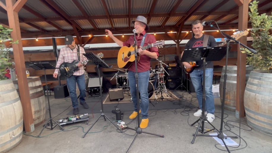 Gallery photo 1 of David Hobbes Band