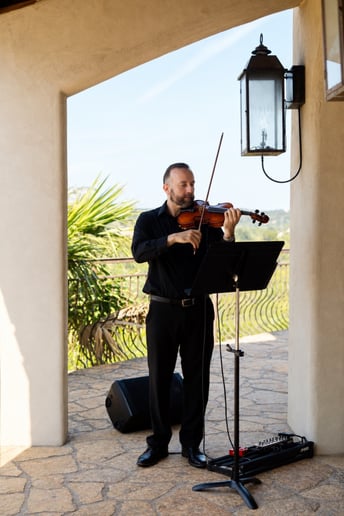 Gallery photo 2 of David Price Violin