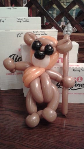 Gallery photo 5 of David the balloon guy